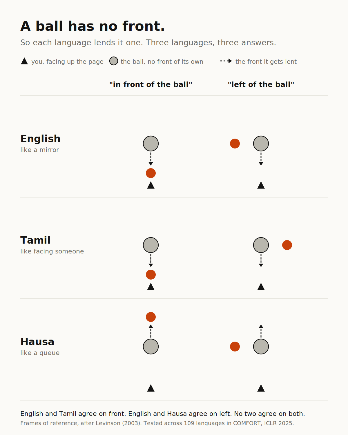 Diagram. A ball has no front, so each language lends it one. In English and Tamil, in front of the ball is the side facing you; in Hausa it is the far side. English and Hausa agree on left; Tamil flips it. No two languages agree on both.